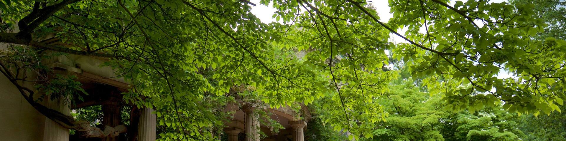 Van Vleck House & Gardens which includes a park