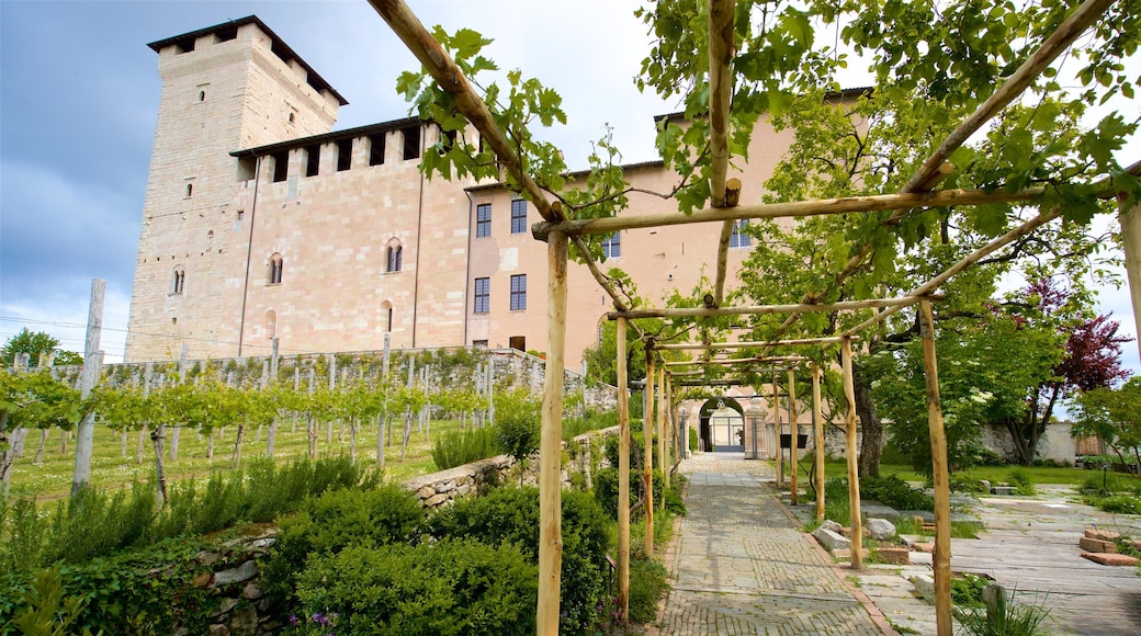 Rocca di Angera mostrando um jardim