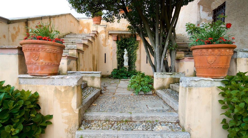 Rocca di Angera featuring a park and flowers
