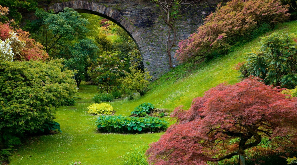 Jardín botánico Villa Taranto mostrando un jardín y flores salvajes