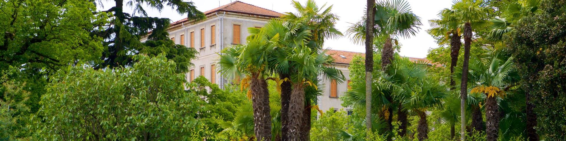 Villa Taranto Botanical Garden showing a pool and a garden