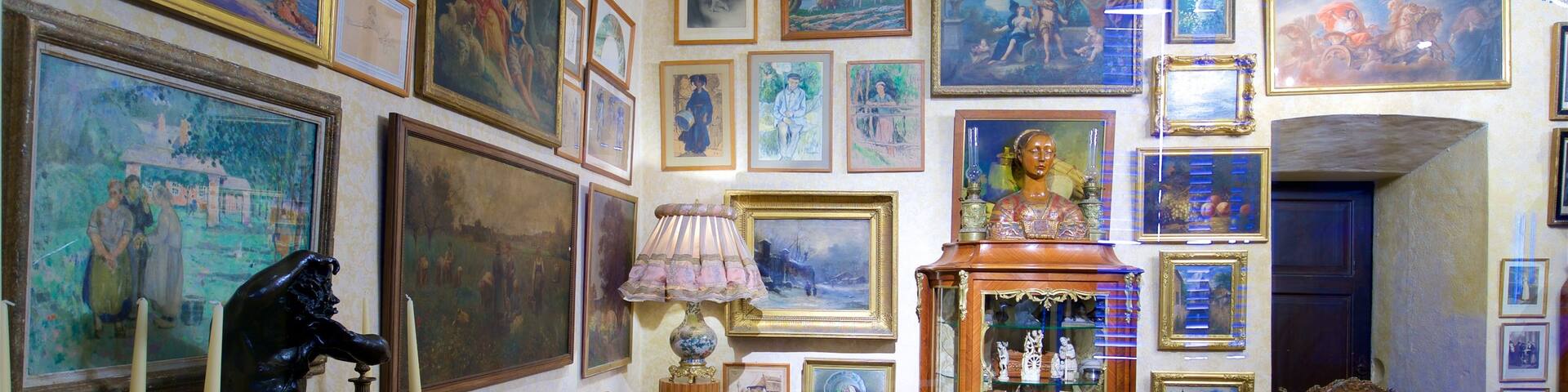 Isola Madre Botanical Garden showing interior views, art and a house