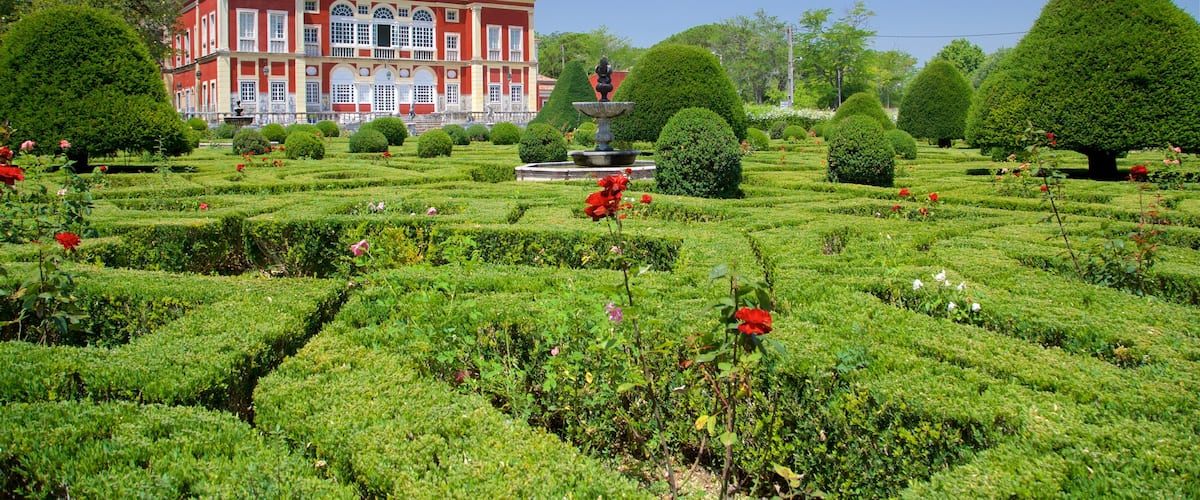 Palais des marquis qui includes fleurs sauvages, maison et patrimoine historique