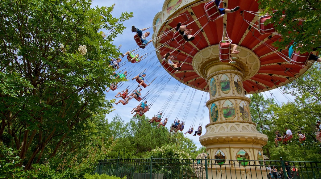 Silver Dollar City which includes rides as well as children