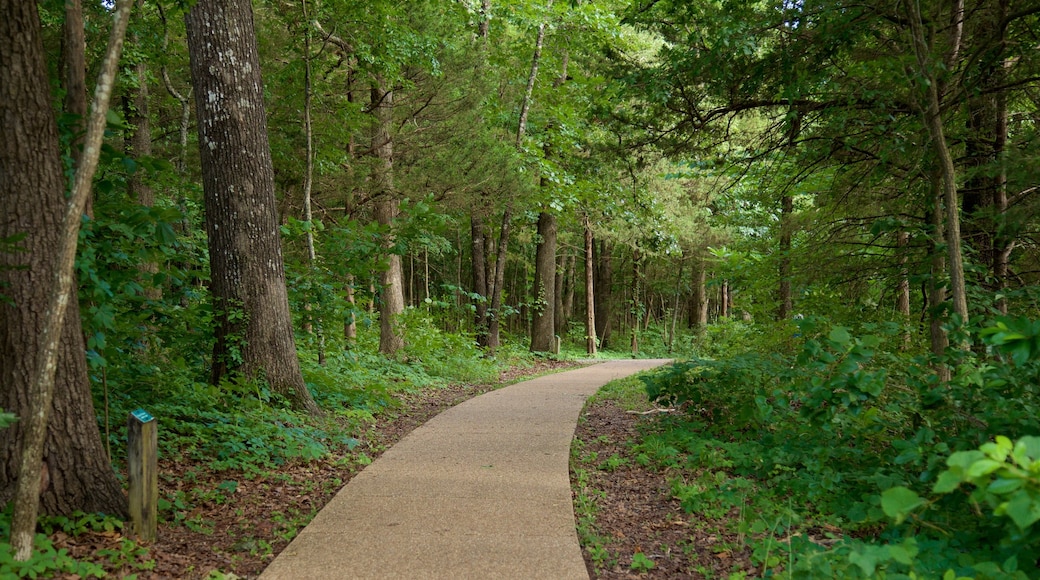 Table Rock Lake showing a garden