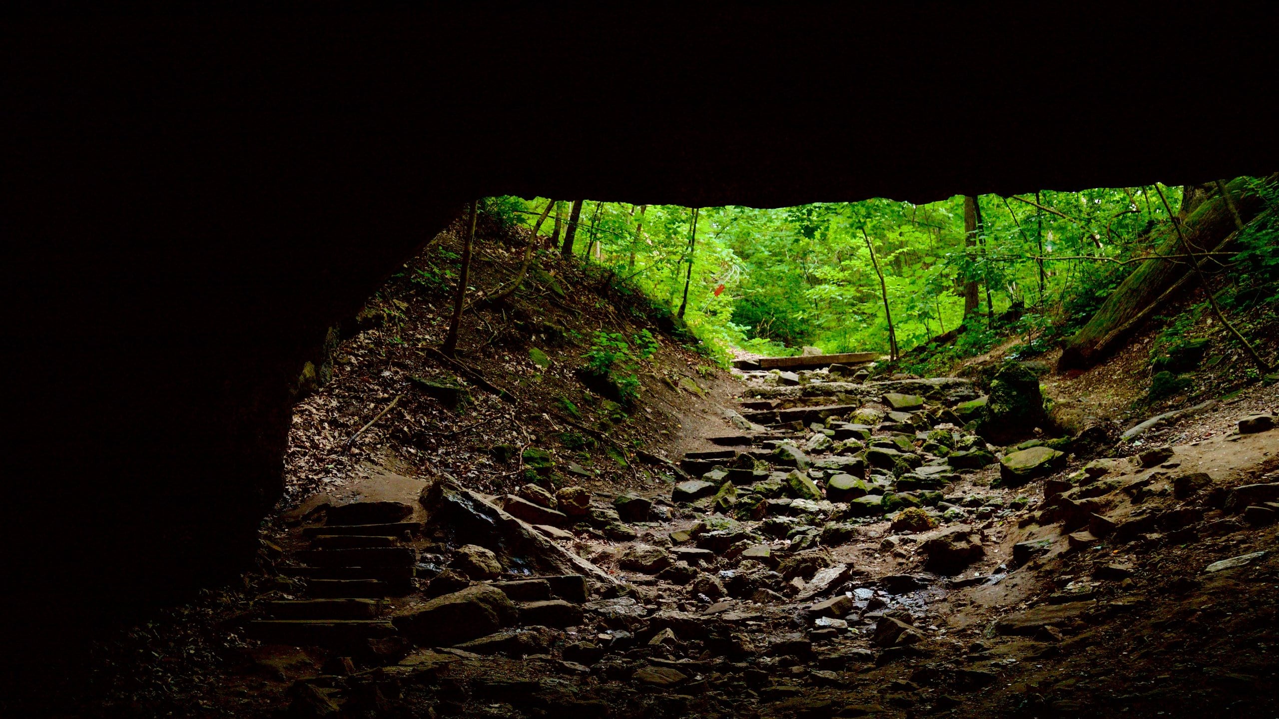 Ha Ha Tonka State Park