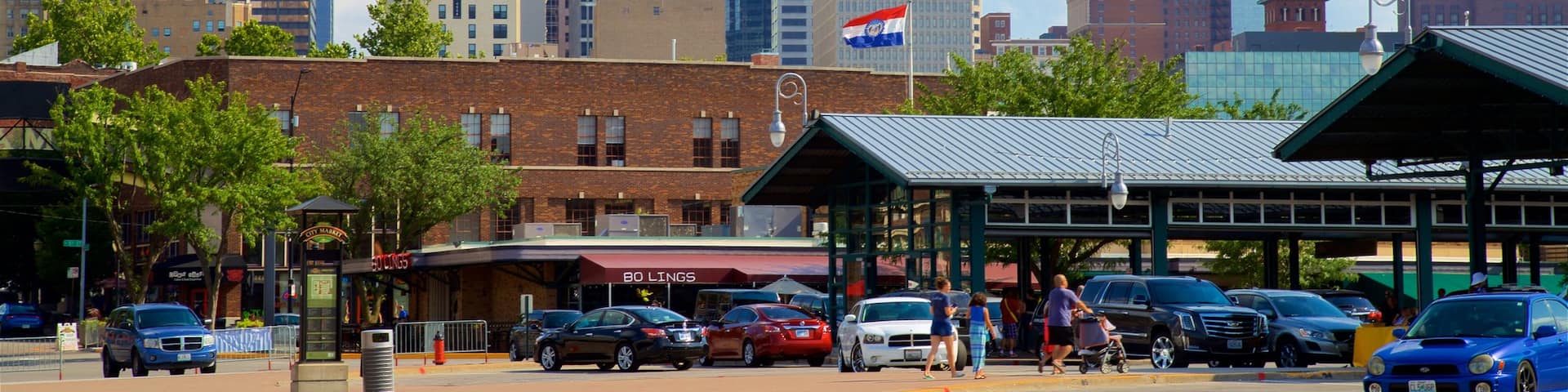 River Market showing landscape views, a city and a skyscraper