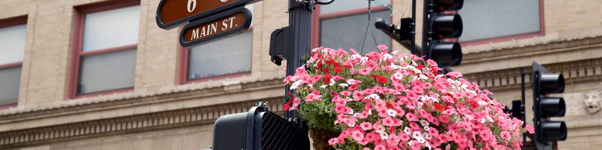 Joplin das einen Beschilderung und Blumen