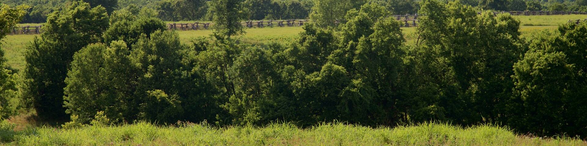 Wilsons Creek National Battlefield which includes tranquil scenes