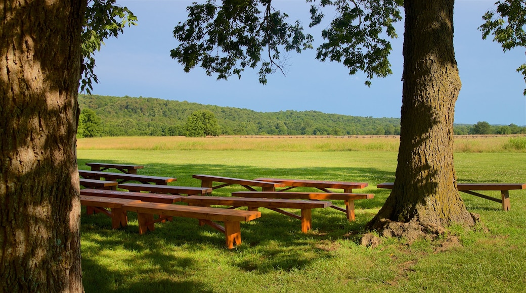 Wilsons Creek National Battlefield showing tranquil scenes