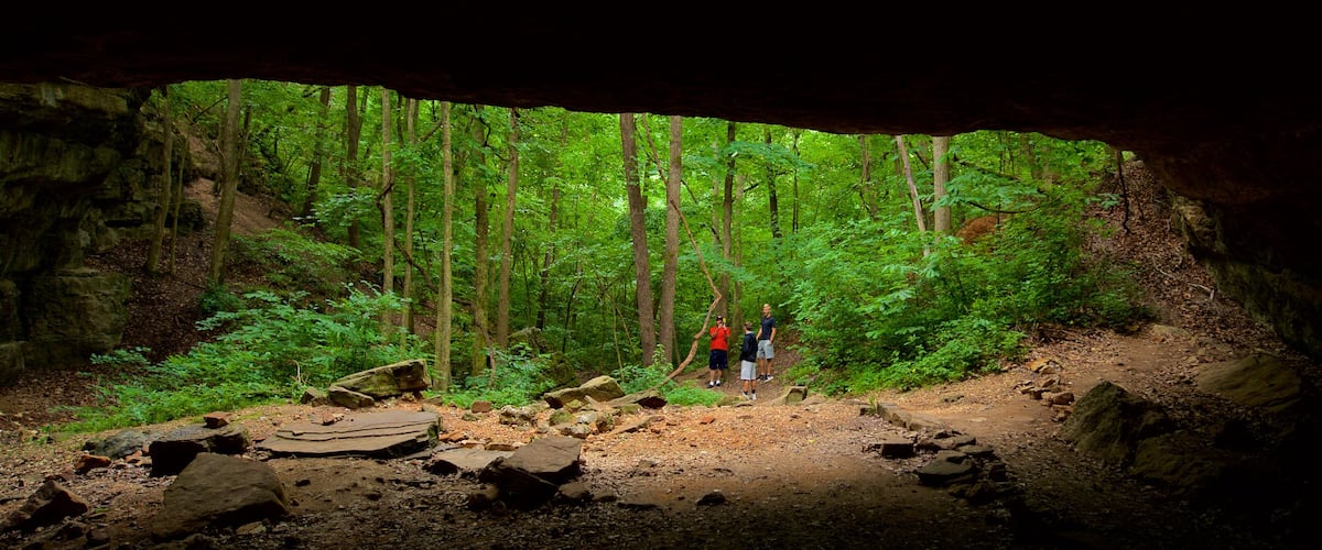 Ha Ha Tonka State Park showing forests and caves as well as a family