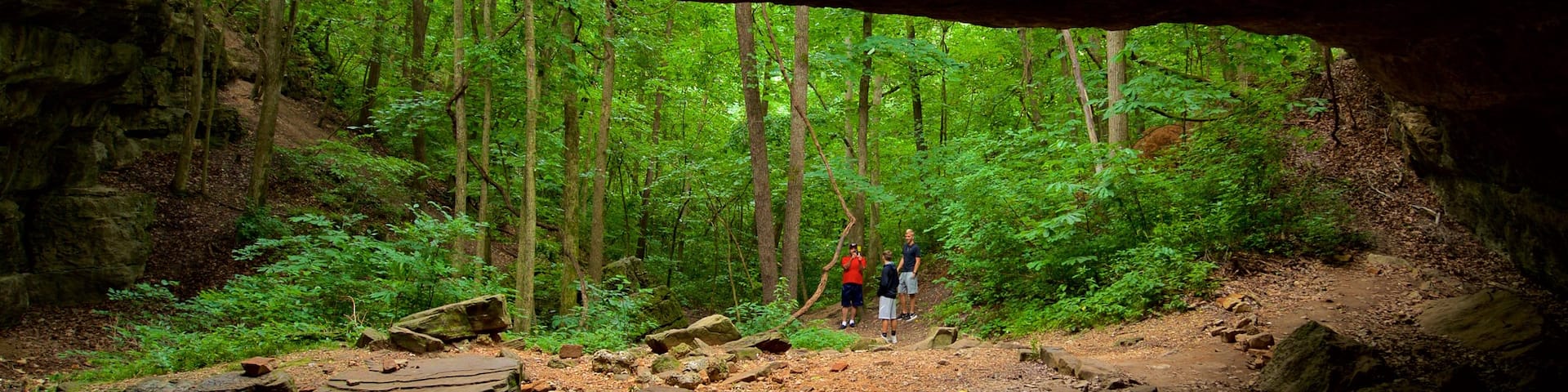 Ha Ha Tonka State Park which includes caves and forest scenes as well as a family