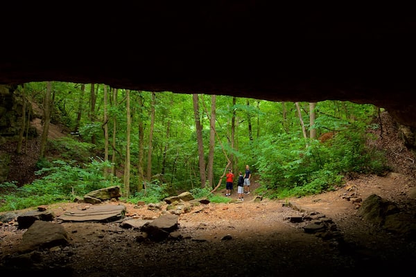 Ha Ha Tonka State Park showing caves and forests as well as a family
