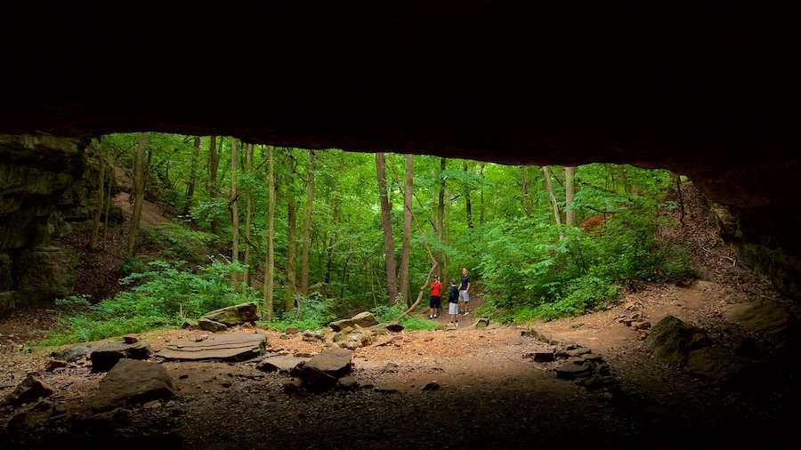 Ha Ha Tonka State Park