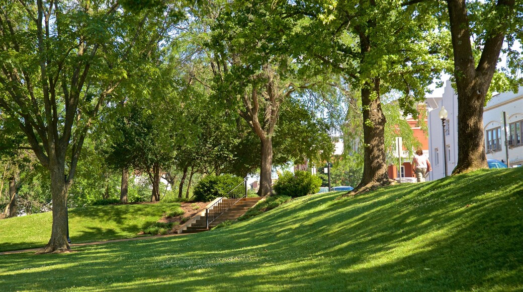 Jefferson City featuring a garden