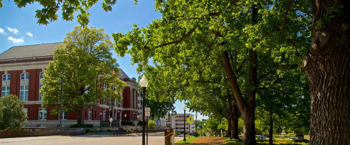 Jefferson City featuring a park