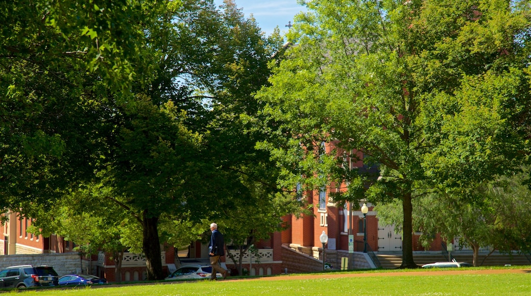 Jefferson City featuring a garden