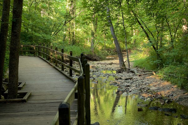 Rock Bridge Memorial State Park som visar skogslandskap och en Ă„ eller flod