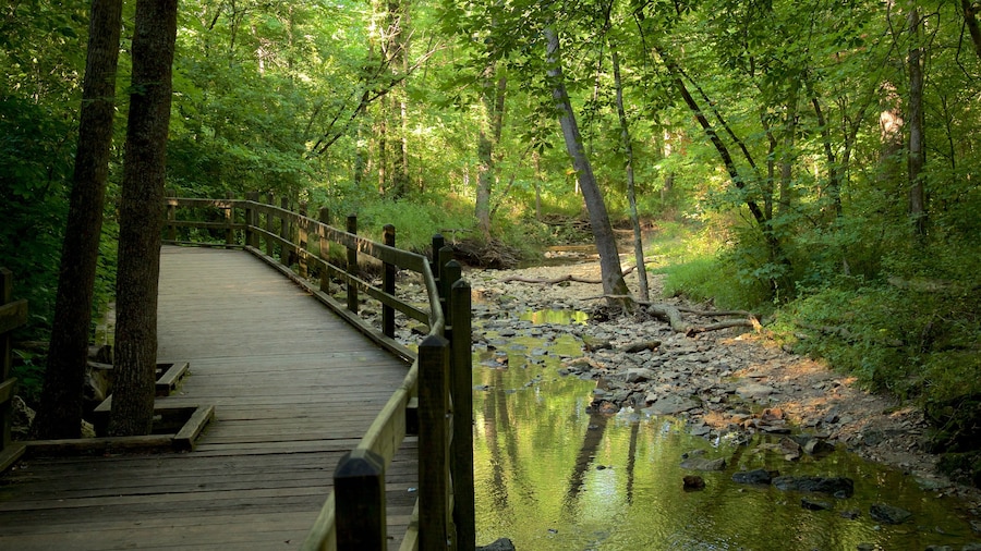 Rock Bridge Memorial State Park inclusief bos en een rivier of beek