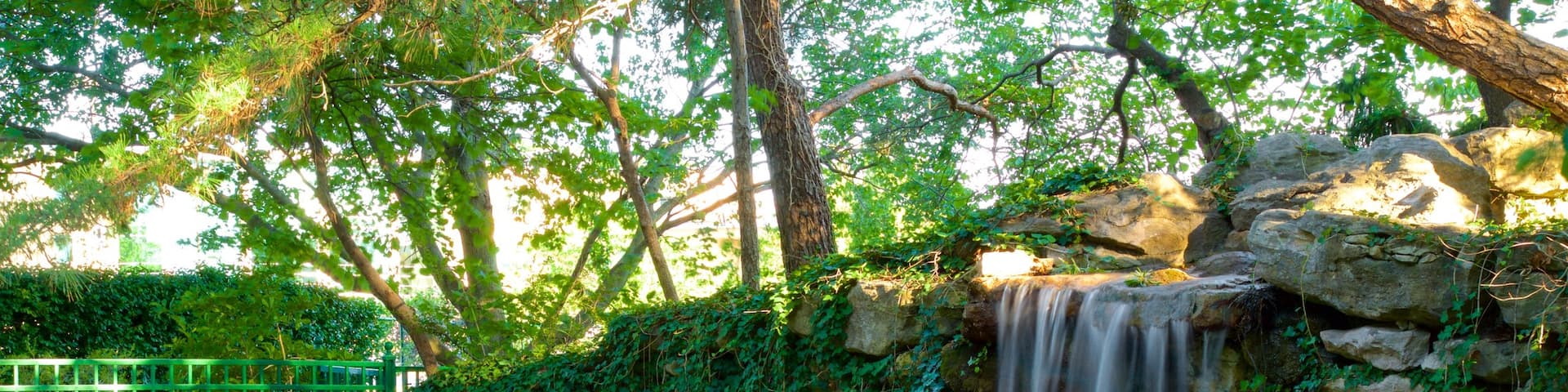 Shelter Gardens mostrando una cascada y un estanque