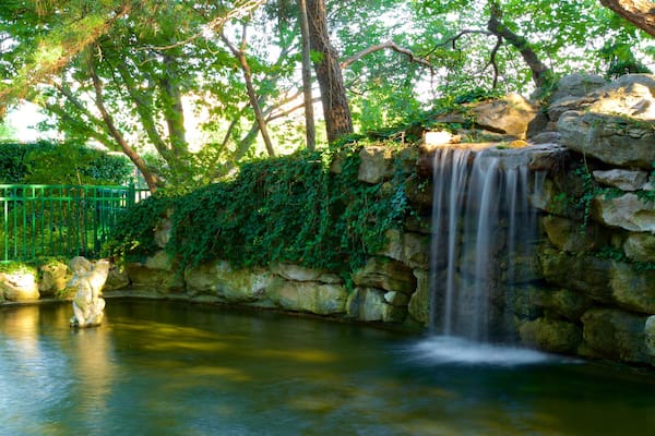 Shelter Gardens presenterar en damm och en kaskad