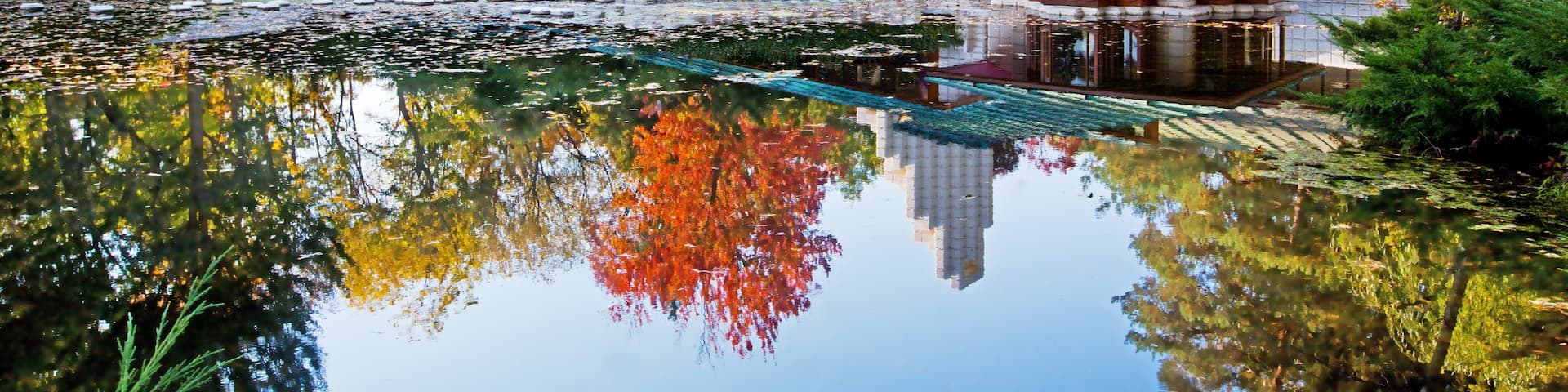 Midland featuring a pond, a park and autumn colours