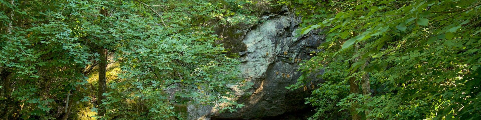 Rock Bridge Memorial State Park showing forest scenes and caves as well as a small group of people
