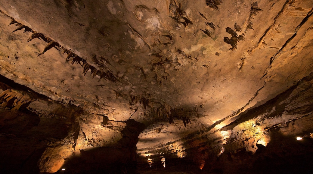 Fantastic Caverns mostrando grotte