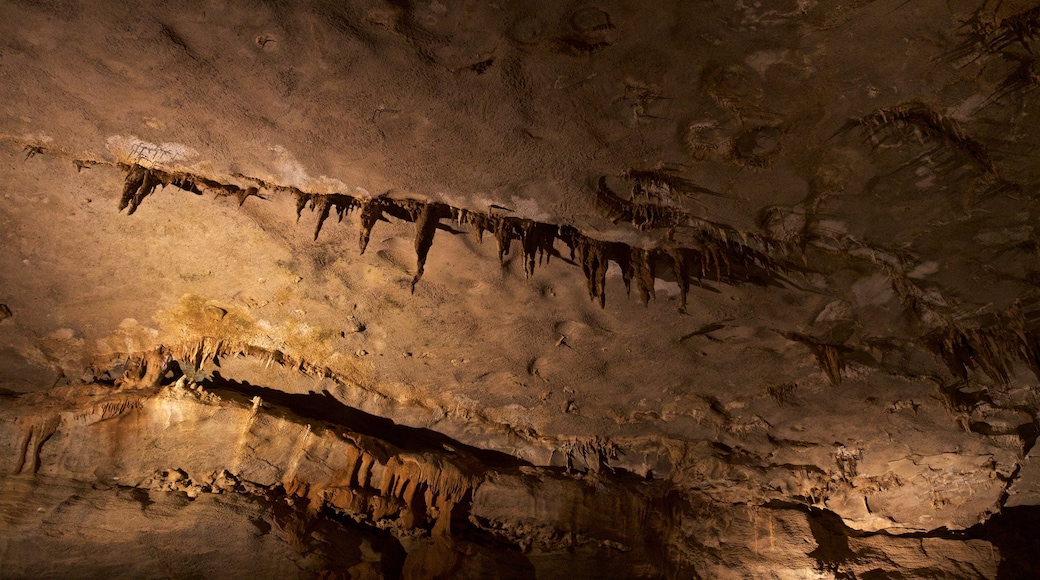 Fantastic Caverns which includes caves