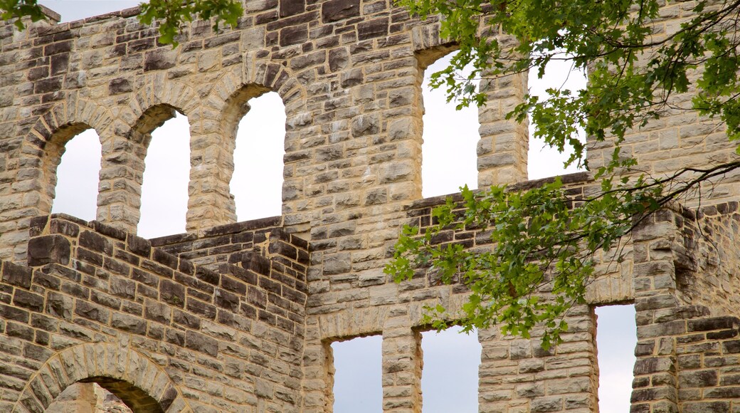 Ha Ha Tonka State Park showing heritage elements