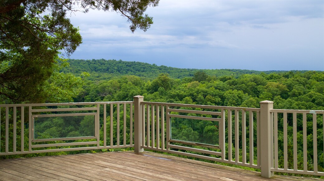 Ha Ha Tonka State Park featuring forest scenes, views and landscape views