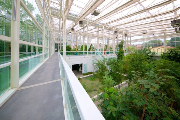 Jardin botanique de Padoue mettant en vedette vues intérieures et jardin
