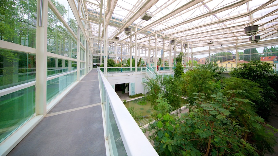 Jardín Botánico de Padua mostrando vistas interiores y un parque