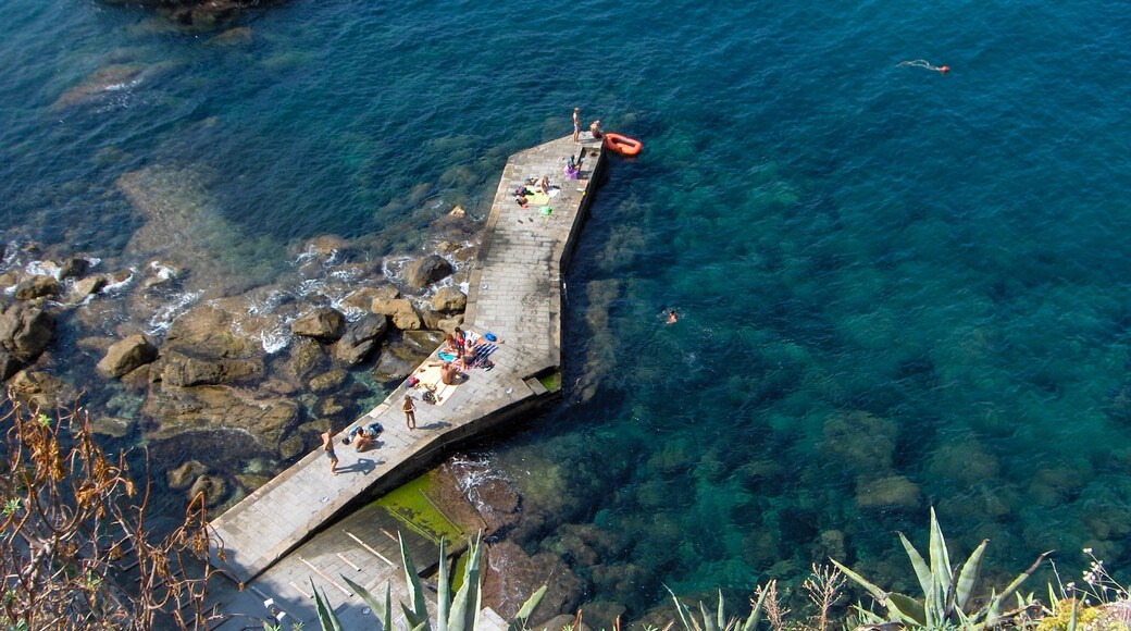 Liguria có tính năng bờ biển khúc khuỷu và cảnh bờ biển cũng như nhóm nhỏ