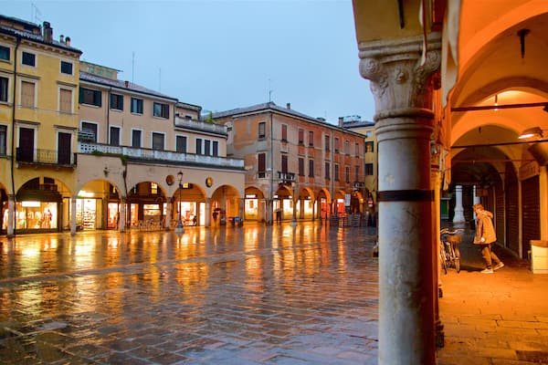 Place historique Piazza delle Erbe mettant en vedette scĂšnes de nuit, square ou place et ville