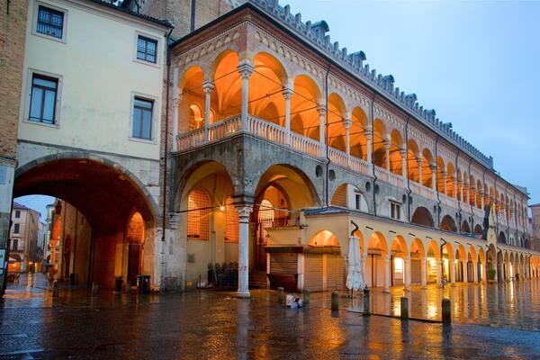 Padua Provinz welches beinhaltet Platz oder Plaza, Stadt und bei Nacht