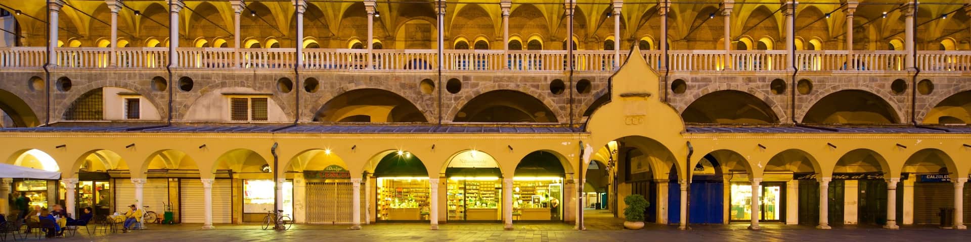 Palazzo della Ragione showing night scenes and heritage elements