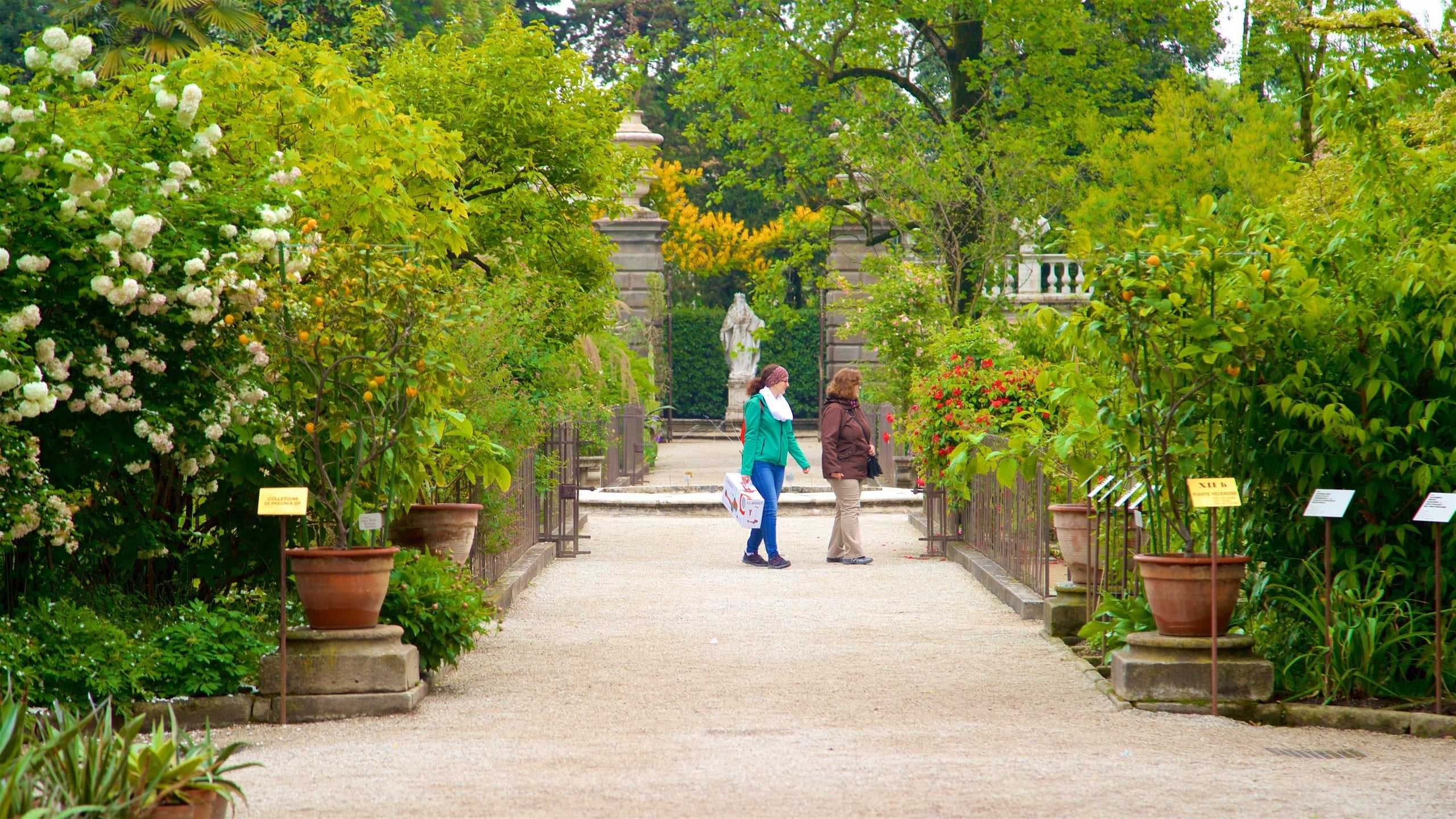 Padua Botanical Garden showing wildflowers and a park as well as a couple
