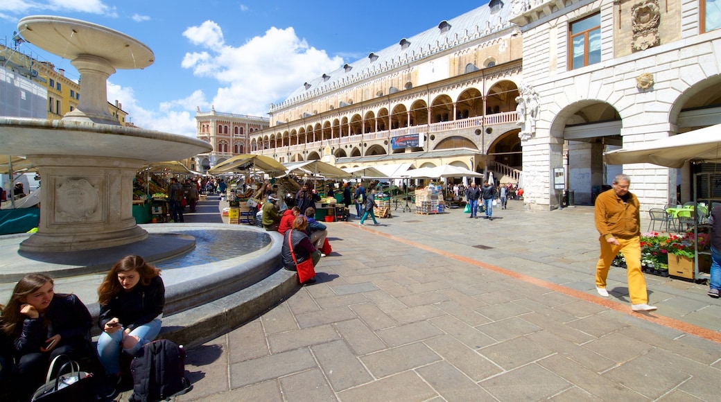 Piazza delle Erbe caratteristiche di oggetti d\'epoca, strade e fontana