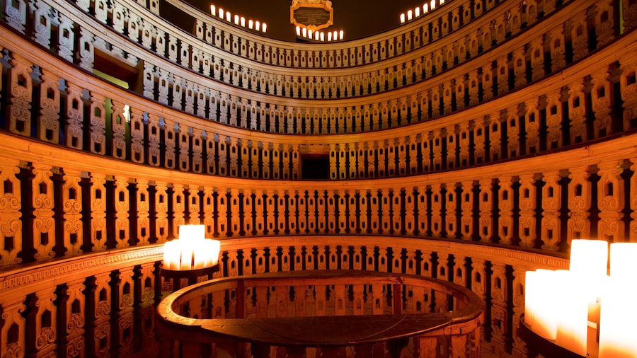 Palazzo del Bò showing interior views and heritage elements