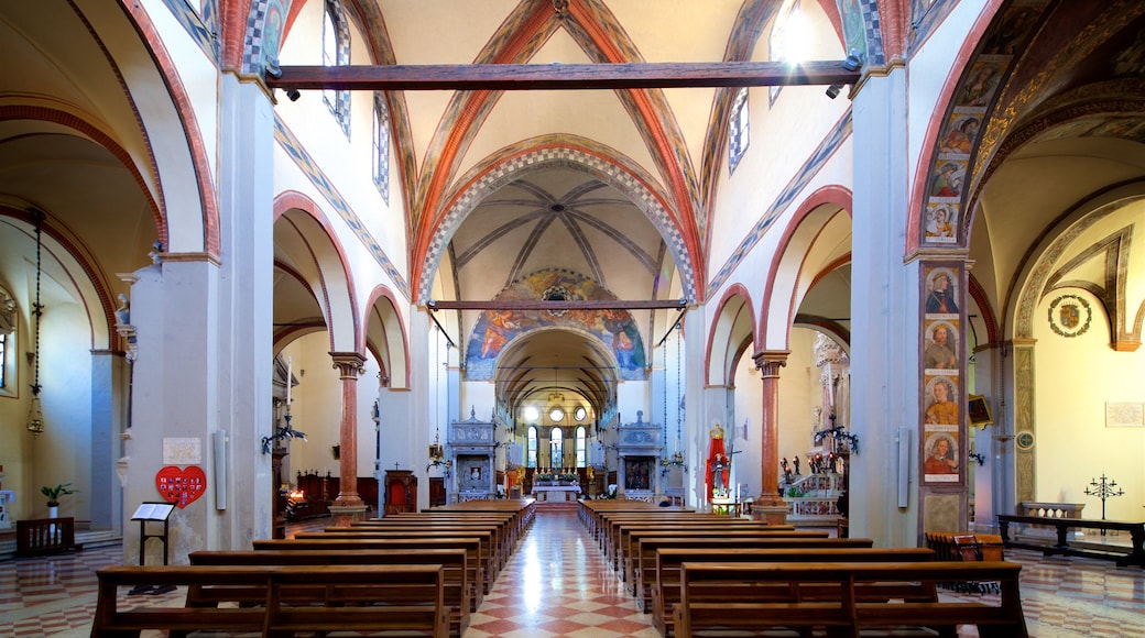 Padua Provinz welches beinhaltet Geschichtliches, Kirche oder Kathedrale und Innenansichten