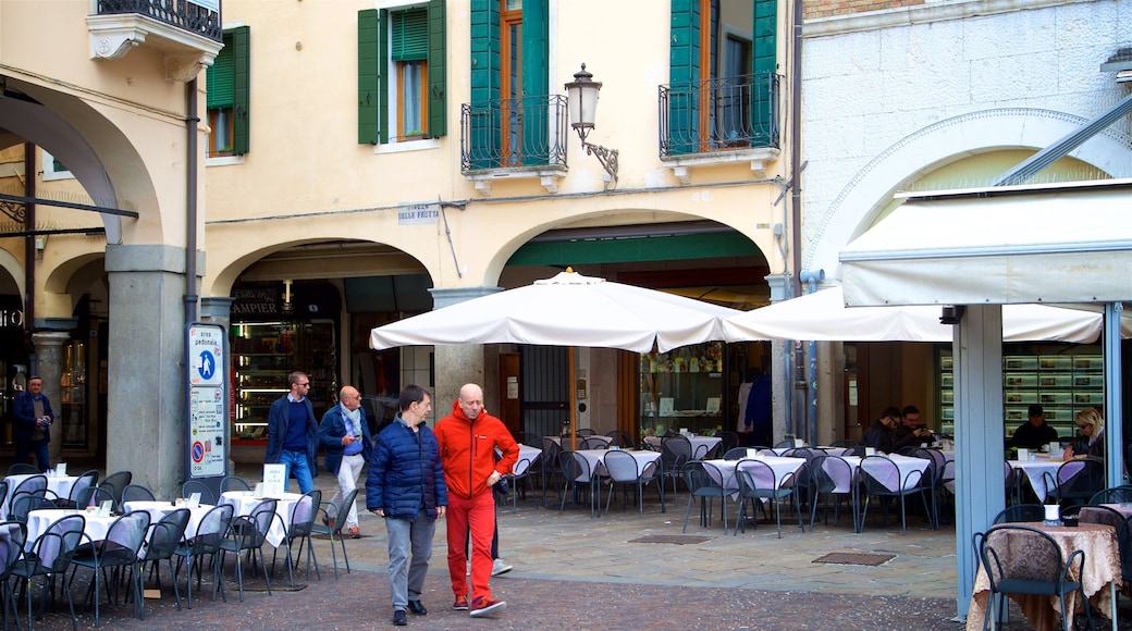 Padova showing street scenes as well as a small group of people