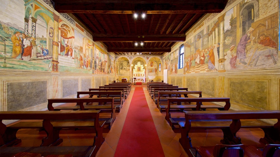 Padova showing a church or cathedral, interior views and art