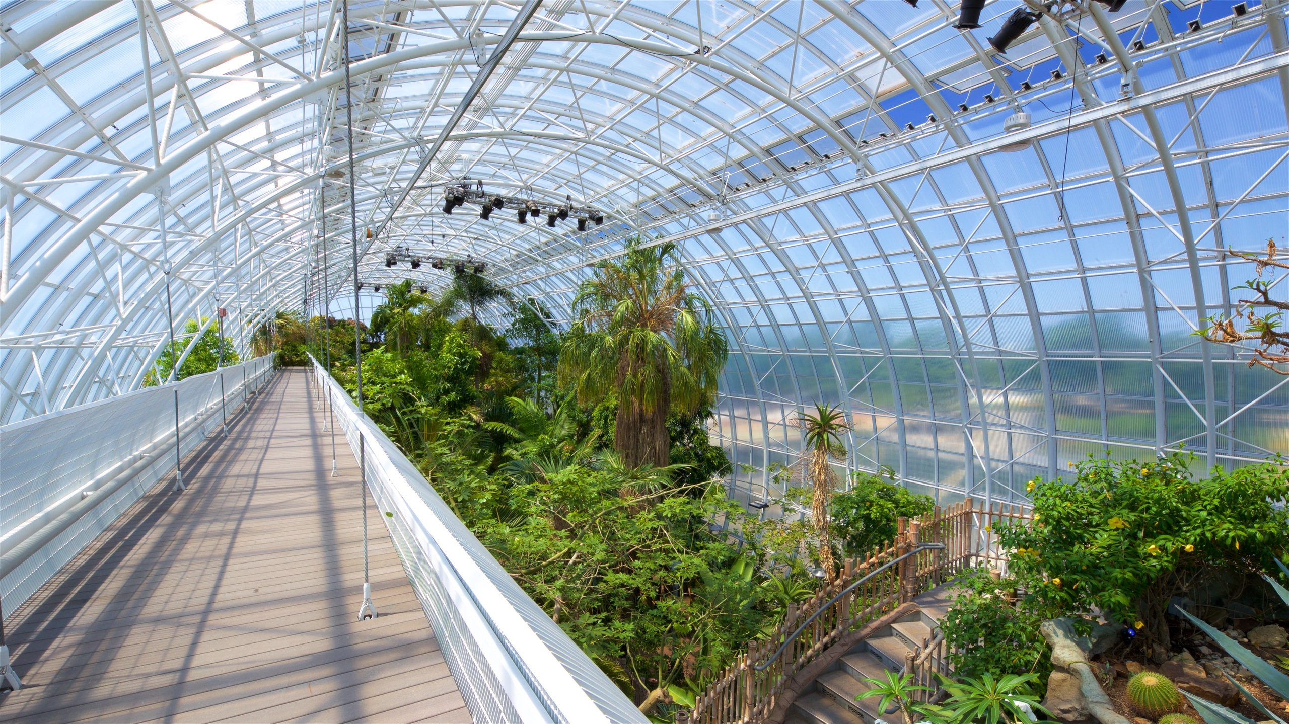 Myriad Botanical Gardens showing a park and interior views