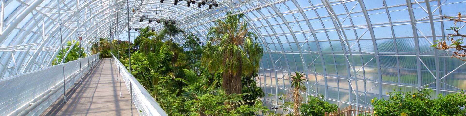 Myriad Botanical Gardens showing a garden and interior views