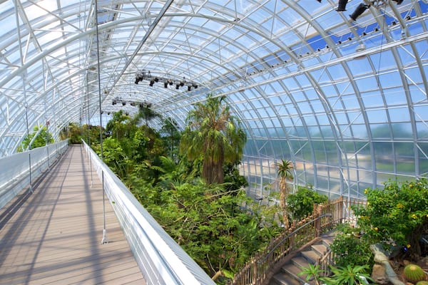 Myriad Botanical Gardens mostrando vistas interiores y un parque