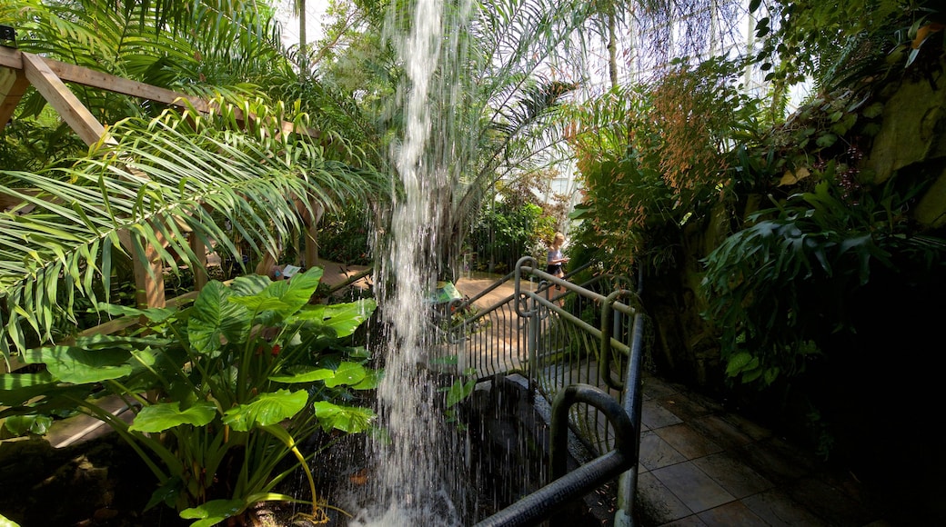 Myriads botaniska trädgårdar som visar en fontän, en park och interiörer