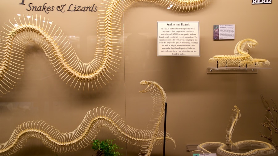 Museum of Osteology featuring interior views