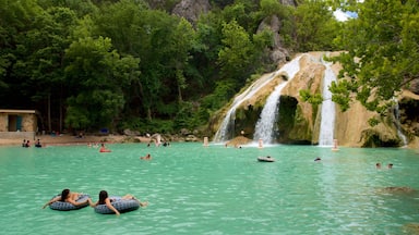 Turner Falls ofreciendo un lago o abrevadero, natación y una cascada