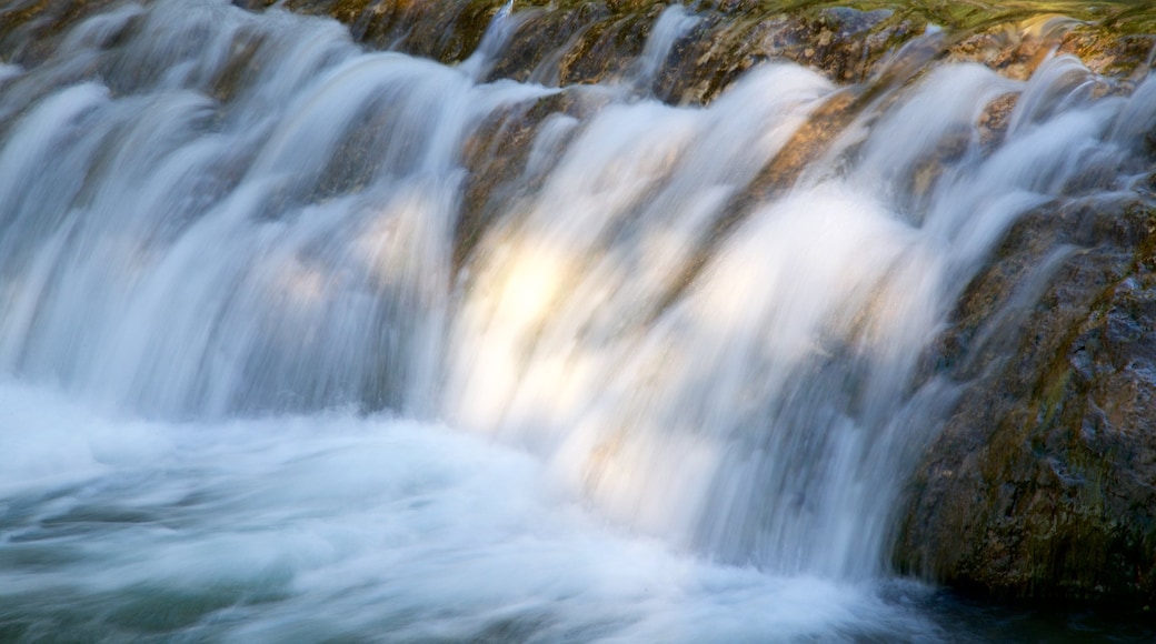 Chickasaw National Recreation Area montrant rivière ou ruisseau